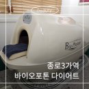 종로 체형관리 다이어트 스킨앤숲칼프 바이오포톤 관리 후기