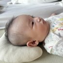 신생아 아기 배냇머리 집에서 성인 바리깡으로 셀프 이발 하기