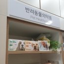 여의도동물약국 이미지