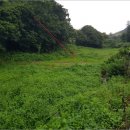 단석보건진료소 이미지