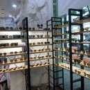 아이패밀리(야탑점) 이미지