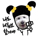 바이크월드 이미지