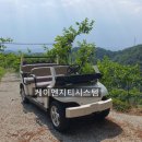 지티농장 이미지