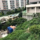 당리시장 이미지