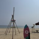 나인비치37 이미지