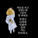 와 우 ~송이버섯🍄 🍄 🍄 🍄 🍄 🍄 🍄 🍄 🍄 🍄 🍄 🍄 🍄 이미지