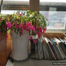 서서학동주민센터 이미지