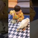 닭과 오리 이미지