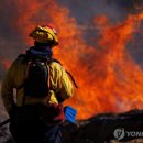 하일목장 이미지