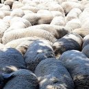 삼척공인중개사사무소 이미지