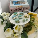 [서부] 홈베이킹 | 대전베이킹클래스 캐릭터마카롱 만들기 마카롱자격증까지 수업후기