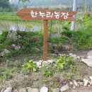 영농조합법인 한누리 이미지