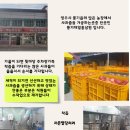 풍기제일홍삼원