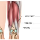 휘와함께