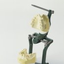 첨단튼튼치과의원 이미지