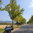 청송길R 이미지