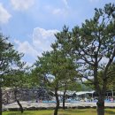 설송태권도장 이미지