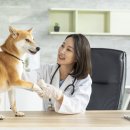 라온반려동물병원 이미지