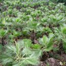 성제농장 이미지