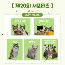 젤리즈펫 이미지