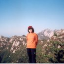 009-문산-009 Daum카페