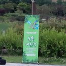 숲속버스킹 이미지