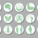 부천마디튼튼의원 이미지