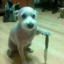 꽃을주는사람 이미지