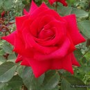 노적봉공원 이미지