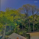 동해소금길펜션 | 신흥동펜션 동해소금길펜션 자연 속 가족 독채