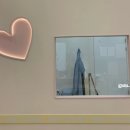 바비애견미용 | 광주 신창동 애견미용 스파 베비까까 포메라니안 곰돌이컷
