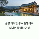 해안484 | 감성 가득한 경주 풀빌라 여행과 1박 2일 완벽 가이드