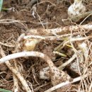 이신농장 이미지