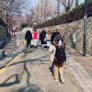 사진찍는날 Daum카페