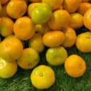 유라농장 이미지