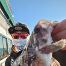 현대낚시 이미지