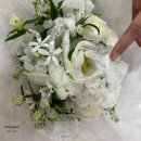 스튜디오 촬영 부케 - 오이화원 후기