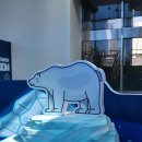 대상 아이캔태권스쿨 | 부산 아이랑 실내) 체험가득한 공간 부산기후변화체험교육관 무료 놀거리 및 꿀팁