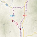 충남식당단구동