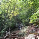 진중2리 이미지