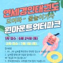 연세경인 태권도 이미지