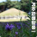오릉 남쪽 화장실 | 경주 갈만한곳 경주유적지 왕릉여행 원성왕릉 괘릉