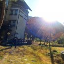 아젤리아 펜션 이미지