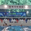 제17회 순천시장배 수영대회 세계타임즈