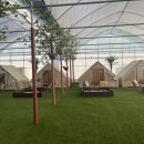 파파하우스 이미지