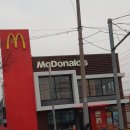 야은로-24 이미지