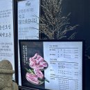 웨돔PC | [일산/웨스턴돔] 제주돗날 | JMT 일산 웨돔 고기집 추천