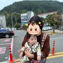 선우 소프트 이미지