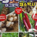 한국농약마트 이미지