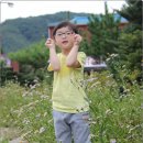 뚜레 - 남양주시 마치로 315 | 뚜레